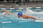 Swimming & Diving vs Babson  Swimming & Diving vs Babson College. - Photo by Keith Nordstrom : Wheaton, Swimming